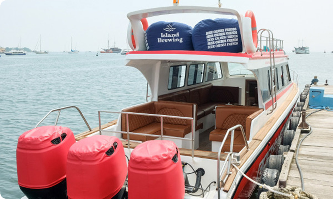 Private Boat Charter - Rocky Fast Cruise