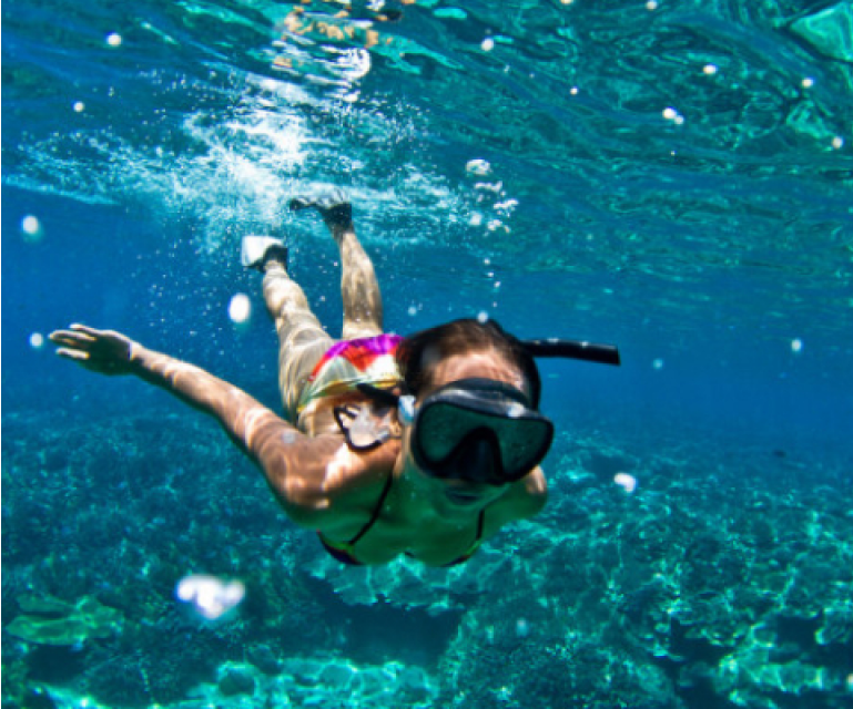 Swim With Manta Ray 1
